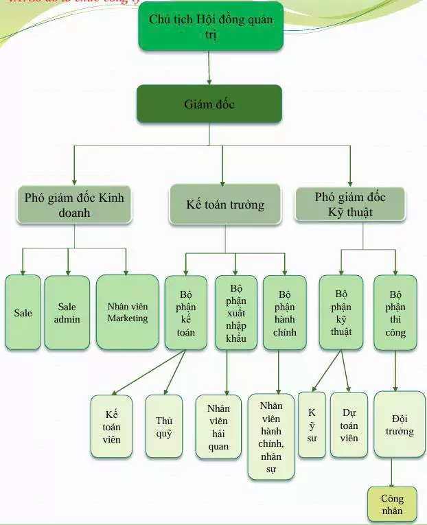 Sơ đồ tổ chức công ty 899 IMEX